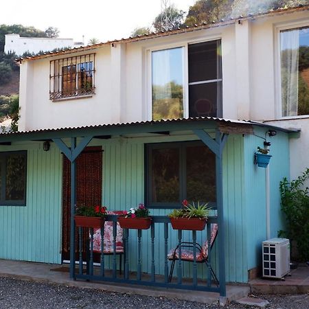 Vegan Guesthouse Finca Pereila Coín Exterior foto