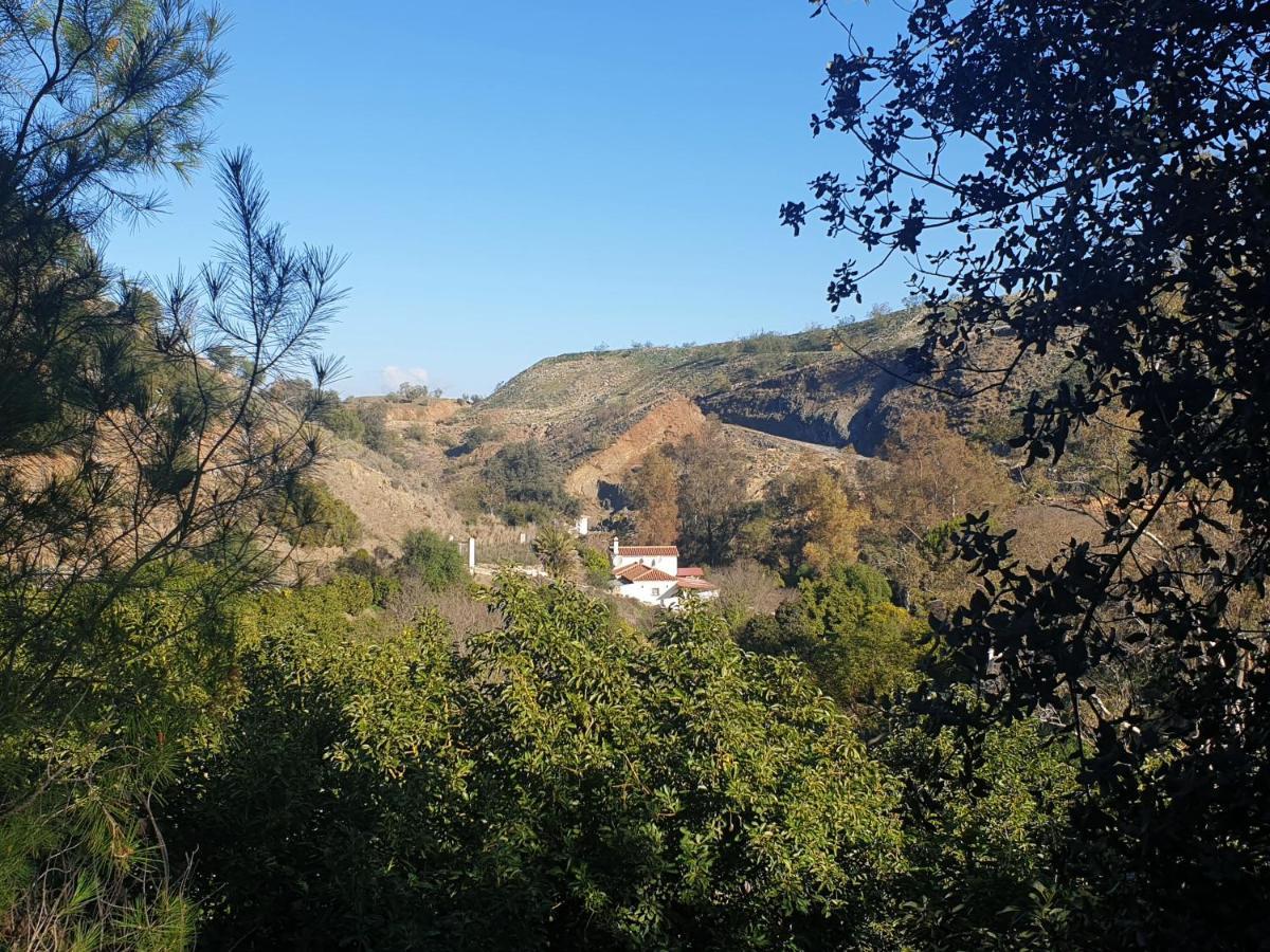 Vegan Guesthouse Finca Pereila Coín Exterior foto